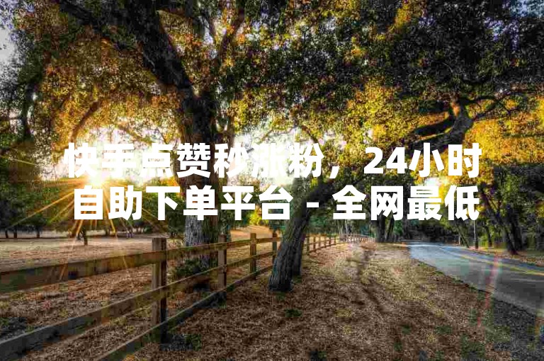 快手点赞秒涨粉，24小时自助下单平台 - 全网最低价，快手业务快速提升秘籍。
