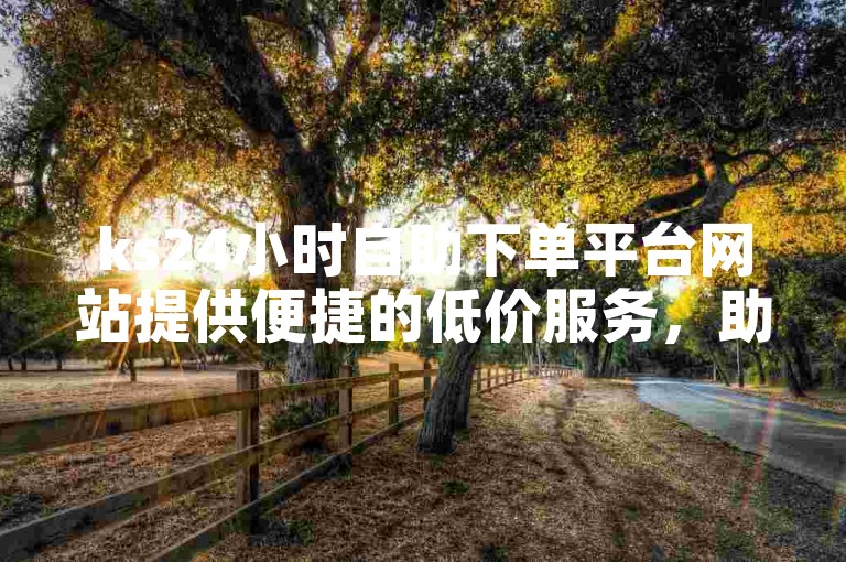 ks24小时自助下单平台网站提供便捷的低价服务，助力用户实现双击收入增长。