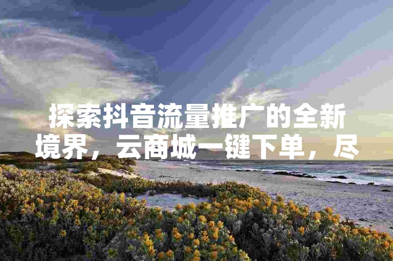 探索抖音流量推广的全新境界，云商城一键下单，尽享老马代刷网的专业服务。