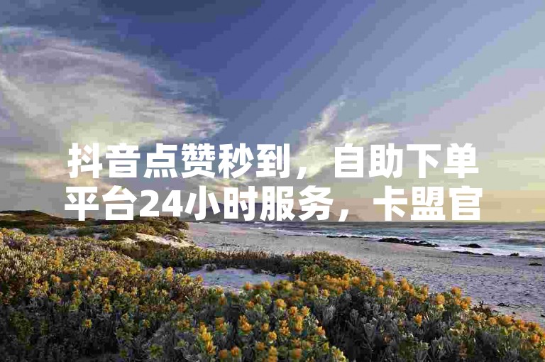 抖音点赞秒到，自助下单平台24小时服务，卡盟官网提供最低价 - 粉丝业务快速响应。