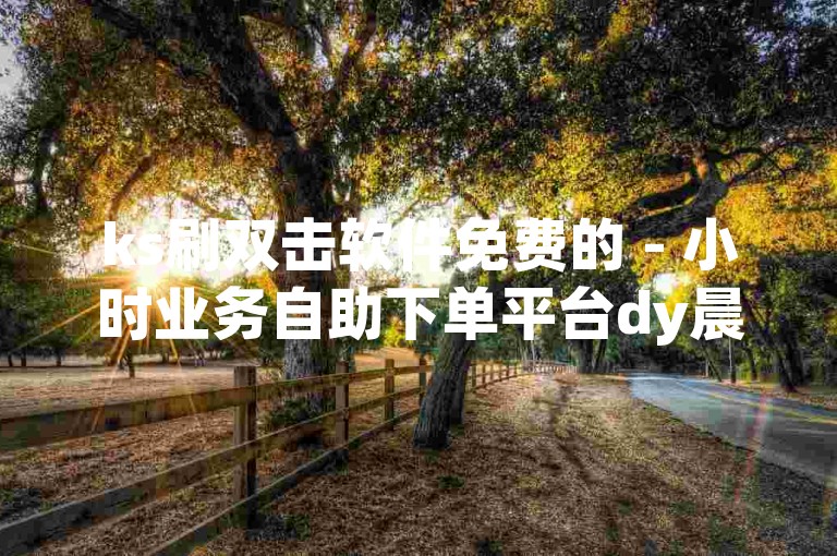 ks刷双击软件免费的 - 小时业务自助下单平台dy晨