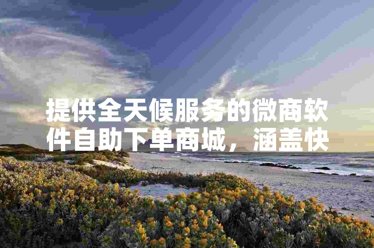 提供全天候服务的微商软件自助下单商城，涵盖快手业务即时下单及自定义评论功能。