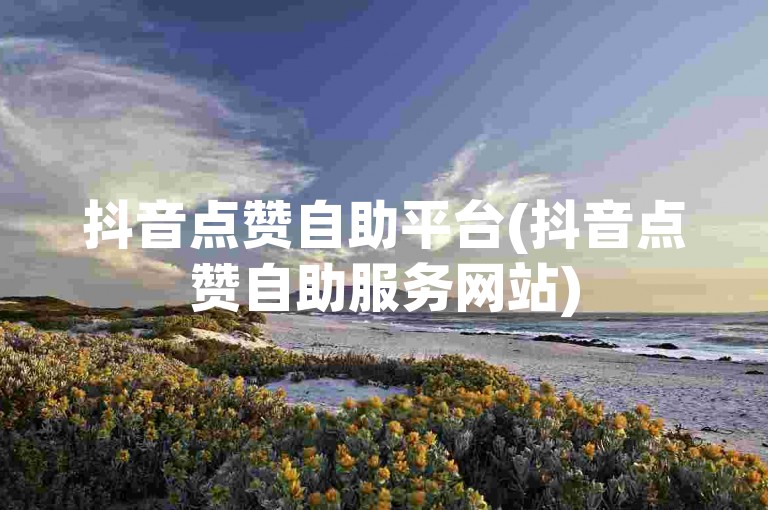 抖音点赞自助平台(抖音点赞自助服务网站)