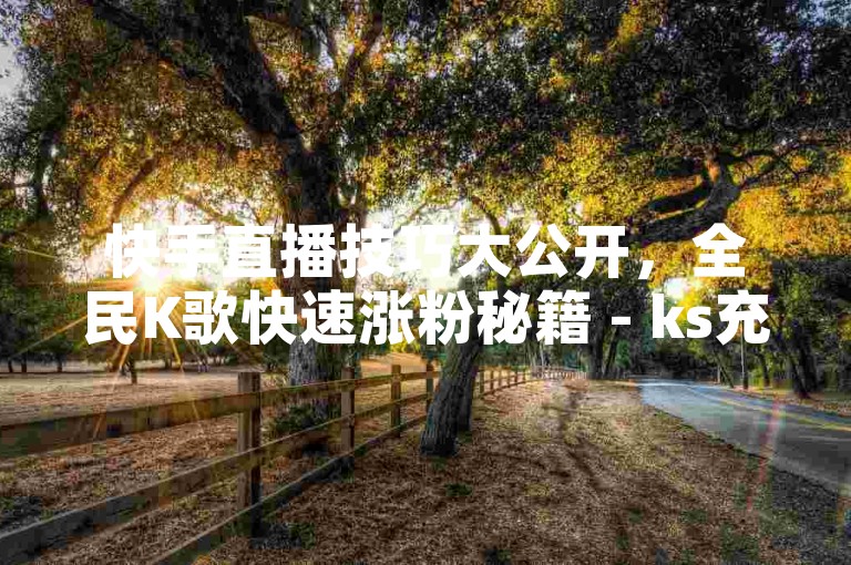 快手直播技巧大公开，全民K歌快速涨粉秘籍 - ks充值优惠攻略，全网最低价双击服务！