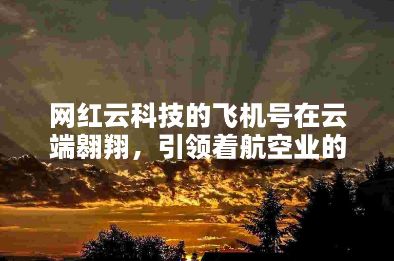 网红云科技的飞机号在云端翱翔，引领着航空业的新潮流。