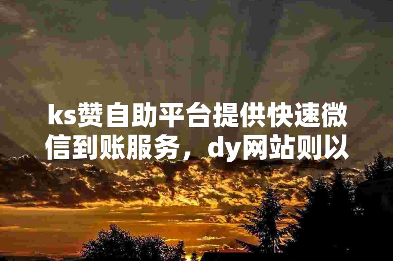 ks赞自助平台提供快速微信到账服务，dy网站则以低价自助下单著称。