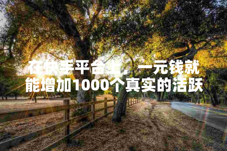 在快手平台上，一元钱就能增加1000个真实的活跃粉丝。