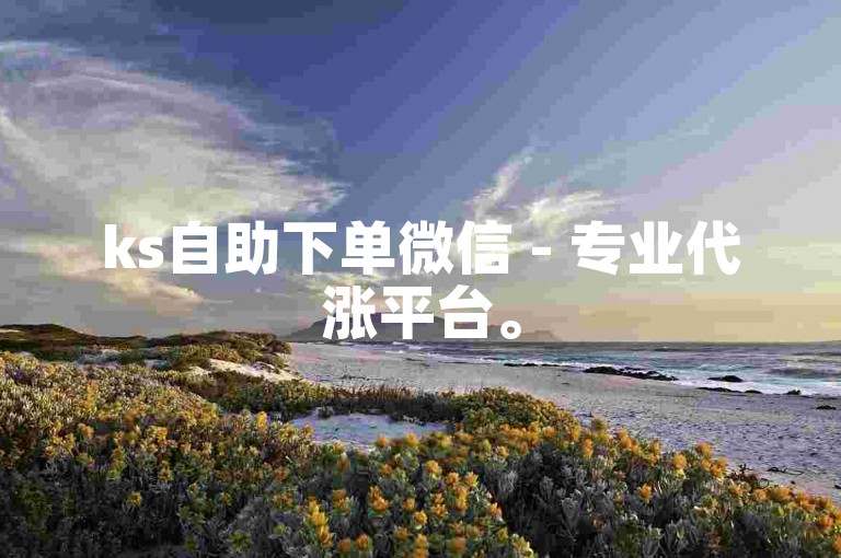 ks自助下单微信 - 专业代涨平台。