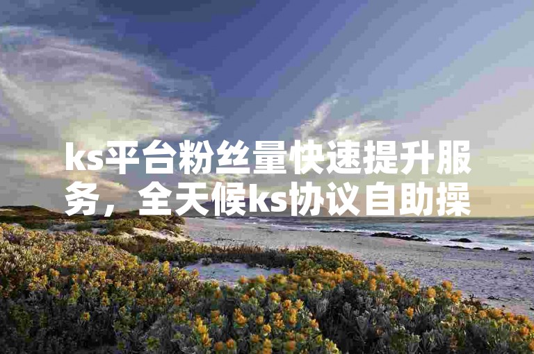 ks平台粉丝量快速提升服务，全天候ks协议自助操作。