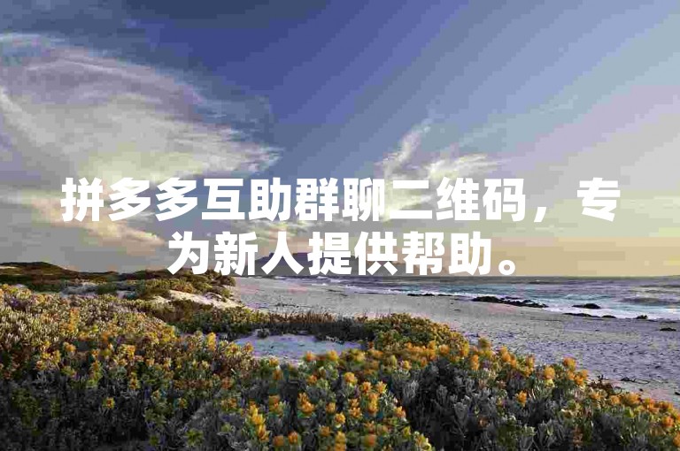 拼多多互助群聊二维码，专为新人提供帮助。