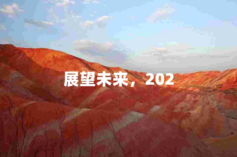 展望未来，2025年拼多多将推动平台的创新与发展。