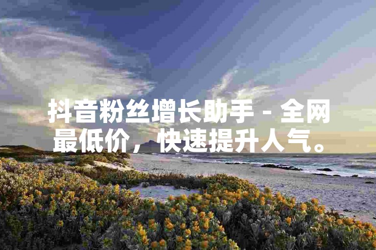 抖音粉丝增长助手 - 全网最低价，快速提升人气。