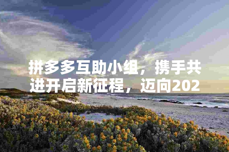 拼多多互助小组，携手共进开启新征程，迈向2024全新时代。