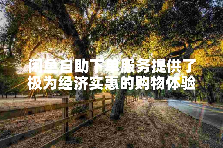 闲鱼自助下单服务提供了极为经济实惠的购物体验。