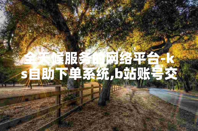 全天候服务的网络平台-ks自助下单系统,b站账号交易及自动发卡服务平台。