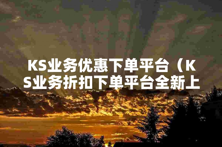KS业务优惠下单平台（KS业务折扣下单平台全新上线）现已成为用户获取超值服务的首选途径。