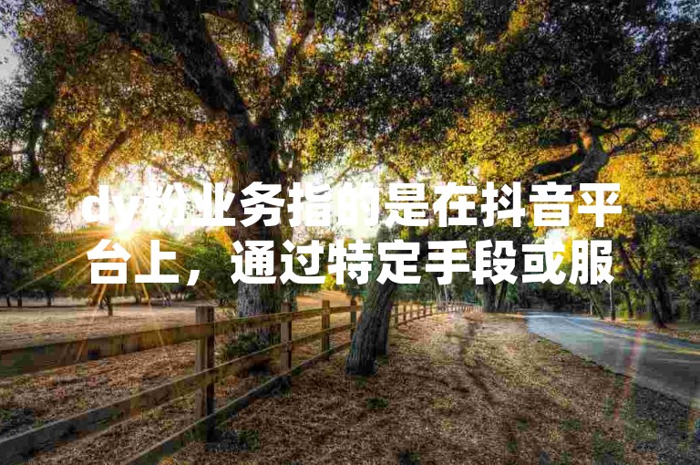 dy粉业务指的是在抖音平台上，通过特定手段或服务来增加用户的粉丝数量。