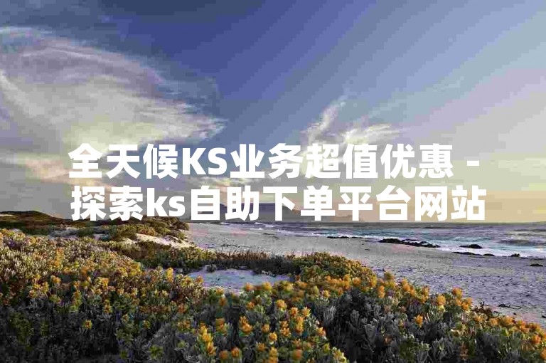 全天候KS业务超值优惠 - 探索ks自助下单平台网站的经济实惠选择