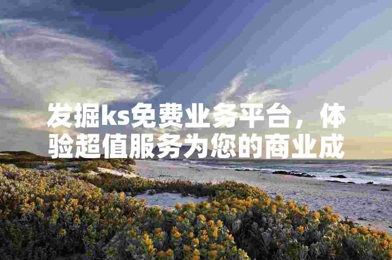 发掘ks免费业务平台，体验超值服务为您的商业成功带来前所未有的选择与机遇。