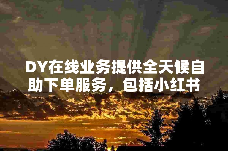 DY在线业务提供全天候自助下单服务，包括小红书24小时自助点赞等免费服务，且价格低廉。