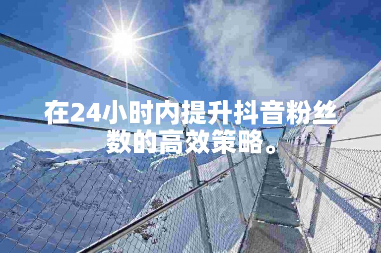 在24小时内提升抖音粉丝数的高效策略。