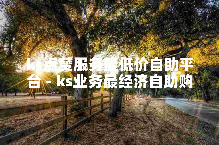 ks点赞服务最低价自助平台 - ks业务最经济自助购买