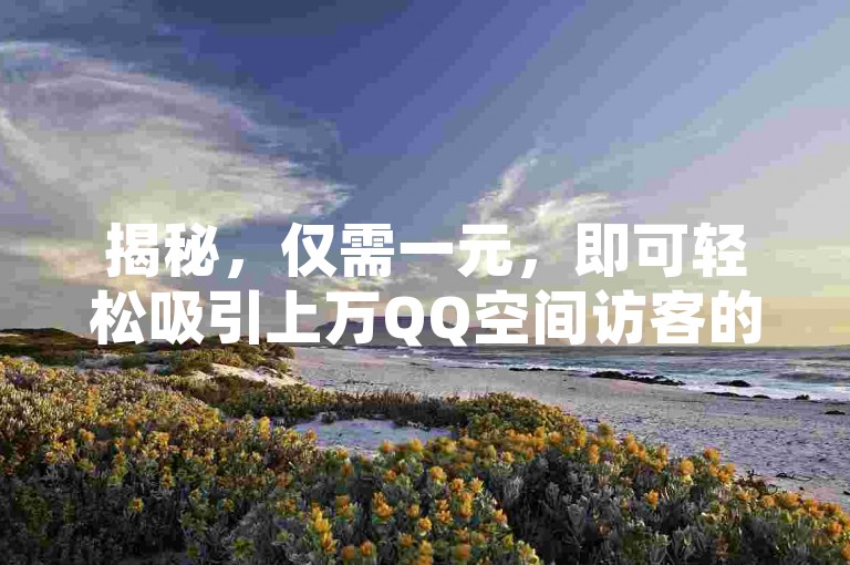 揭秘，仅需一元，即可轻松吸引上万QQ空间访客的独家方法。