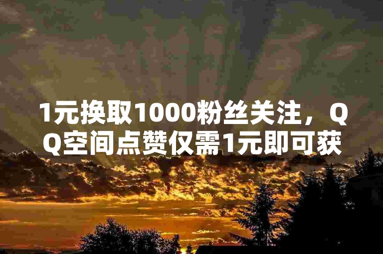 1元换取1000粉丝关注，QQ空间点赞仅需1元即可获得1万次点赞 - 拼多多助力服务，提供全网最实惠的下单选项。