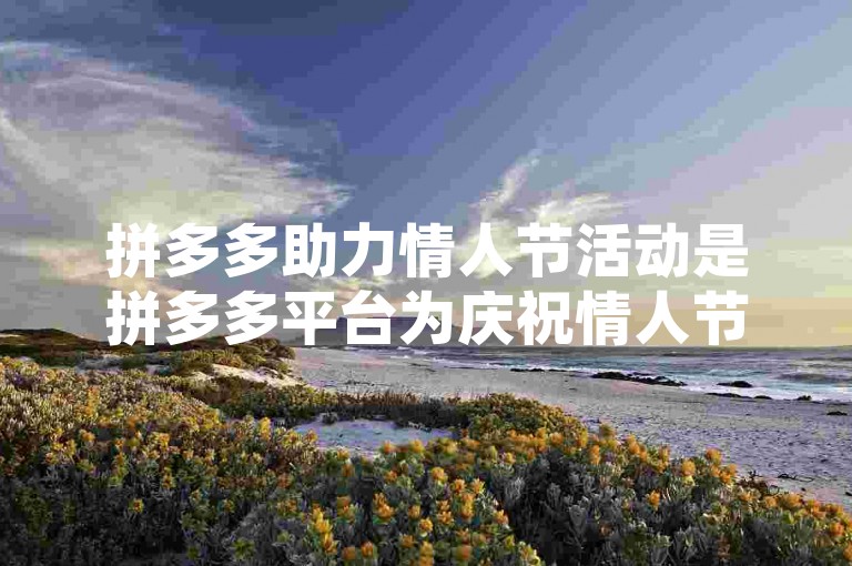 拼多多助力情人节活动是拼多多平台为庆祝情人节而推出的一项促销活动，旨在通过各种优惠和互动环节，增强用户间的互动与购物体验。