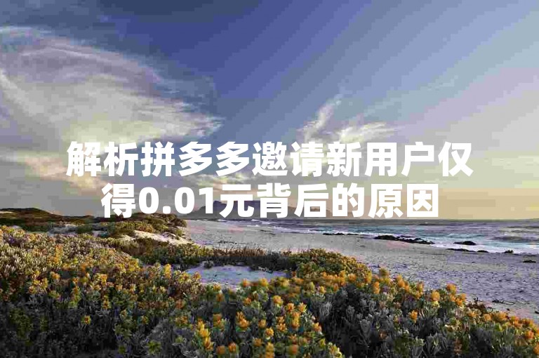 解析拼多多邀请新用户仅得0.01元背后的原因