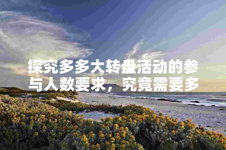 探究多多大转盘活动的参与人数要求，究竟需要多少人才能助力成功？
