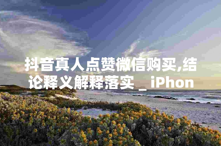 抖音真人点赞微信购买,结论释义解释落实 _ iPhone54.67.710