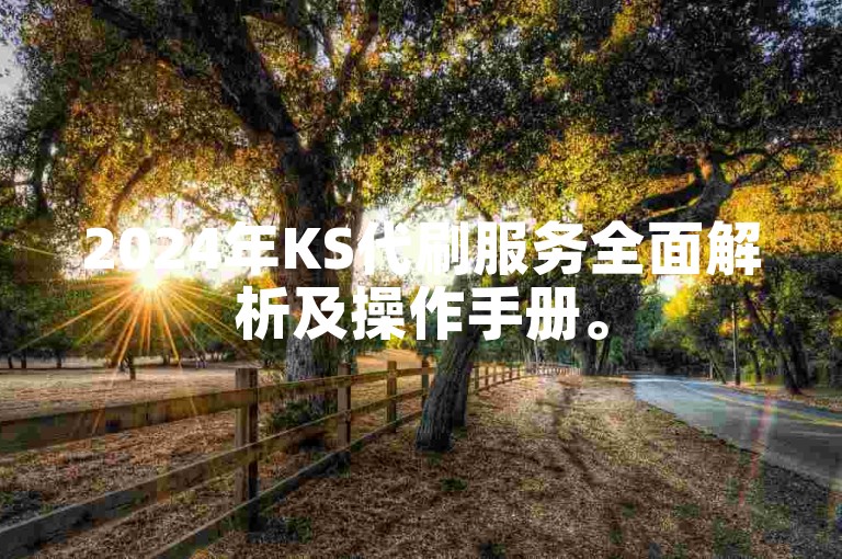 2024年KS代刷服务全面解析及操作手册。