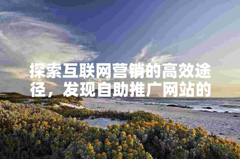 探索互联网营销的高效途径，发现自助推广网站的经济之选。