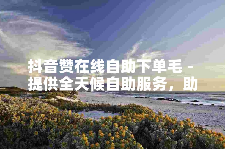 抖音赞在线自助下单毛 - 提供全天候自助服务，助你快速提升业务量。