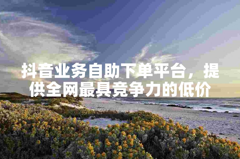抖音业务自助下单平台，提供全网最具竞争力的低价服务。
