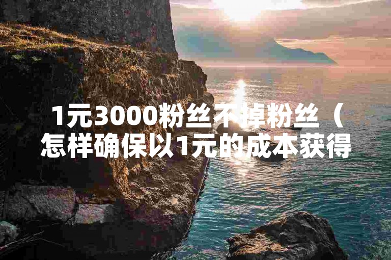 1元3000粉丝不掉粉丝（怎样确保以1元的成本获得的3000粉丝长期稳定不流失？）