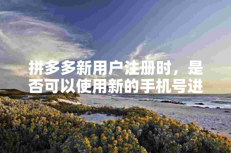 拼多多新用户注册时，是否可以使用新的手机号进行注册？