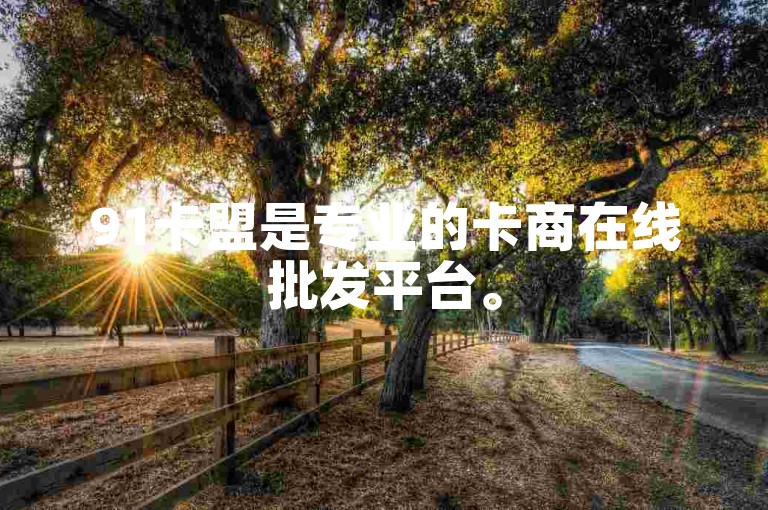 91卡盟是专业的卡商在线批发平台。