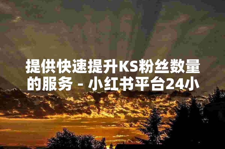 提供快速提升KS粉丝数量的服务 - 小红书平台24小时自助涨粉网站。