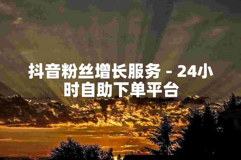 抖音粉丝增长服务 - 24小时自助下单平台