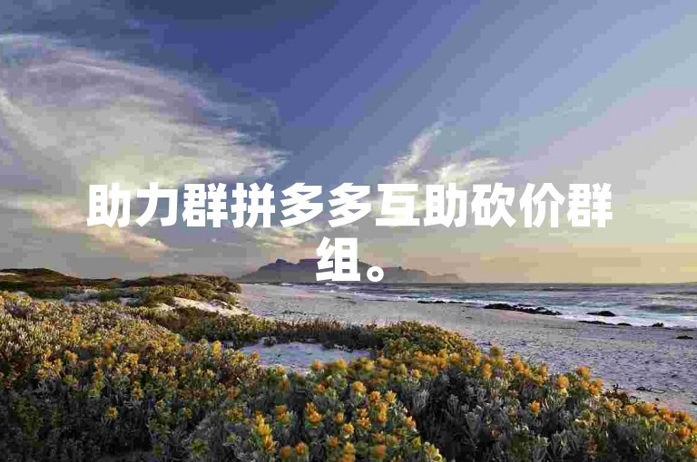 助力群拼多多互助砍价群组。
