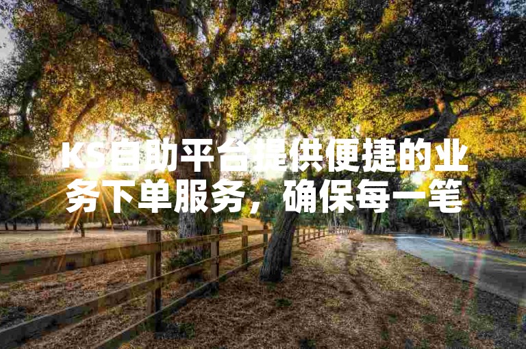 KS自助平台提供便捷的业务下单服务，确保每一笔交易都由真人操作，保障用户安全与服务质量。