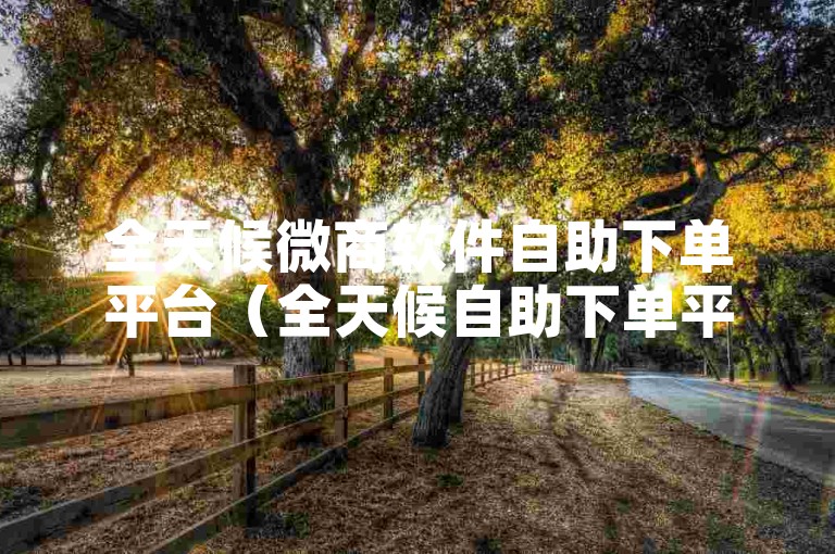 全天候微商软件自助下单平台（全天候自助下单平台—微商软件专属快捷服务）