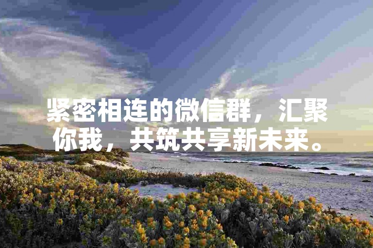 紧密相连的微信群，汇聚你我，共筑共享新未来。