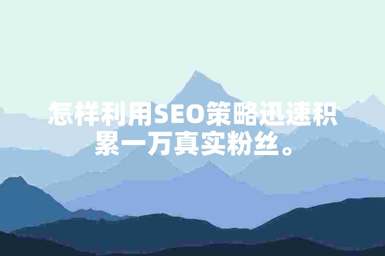 怎样利用SEO策略迅速积累一万真实粉丝。