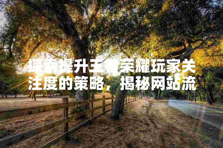 探索提升王者荣耀玩家关注度的策略，揭秘网站流量增长的秘诀。
