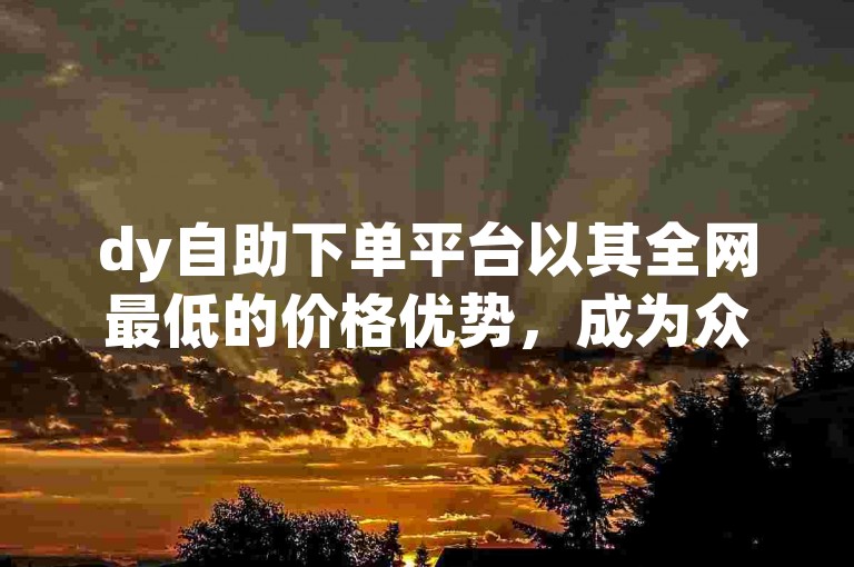 dy自助下单平台以其全网最低的价格优势，成为众多用户的首选，尤其适合初次尝试的用户！