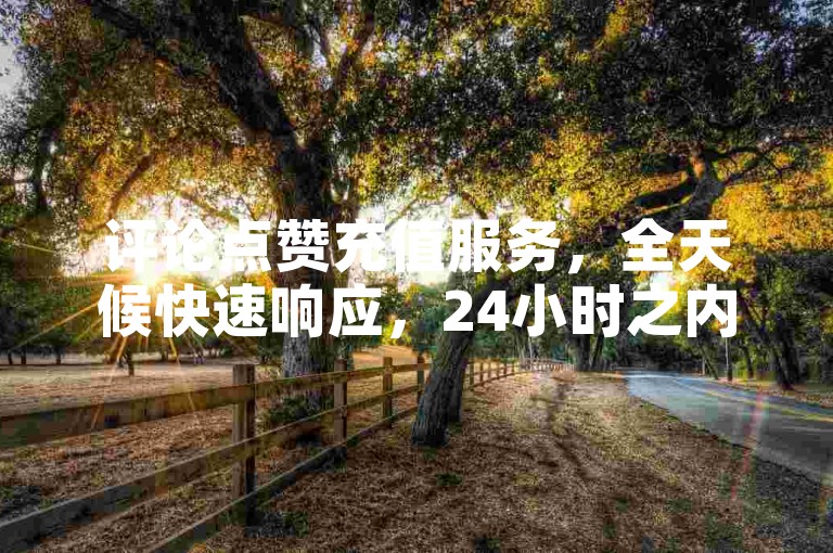 评论点赞充值服务，全天候快速响应，24小时之内即刻到账。
