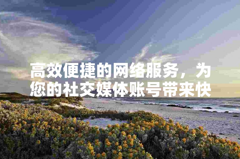 高效便捷的网络服务，为您的社交媒体账号带来快速增粉效果。